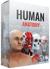 Human Anatomy