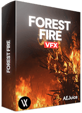 Forest Fire