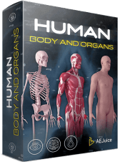 Human Body And Organs