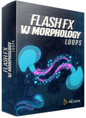 Flash FX VJ Morphology